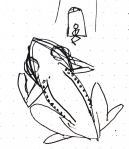 ltb tiny gorgeous&nbsp;frogs