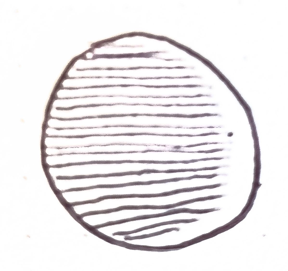 🌒 Timoutg Titheroutg / Whoutoutg Simperoutg&nbsp;🐈