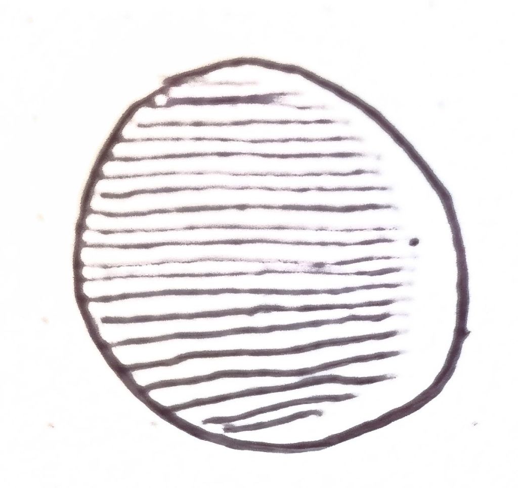 🌒 Timoutg Titheroutg / Whoutoutg Simperoutg&nbsp;🐈