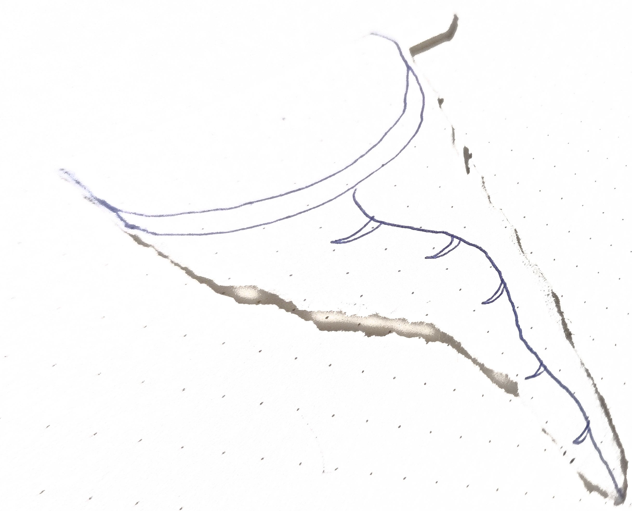 ltp afternoon delight